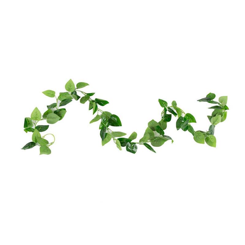 Philodendron Garland