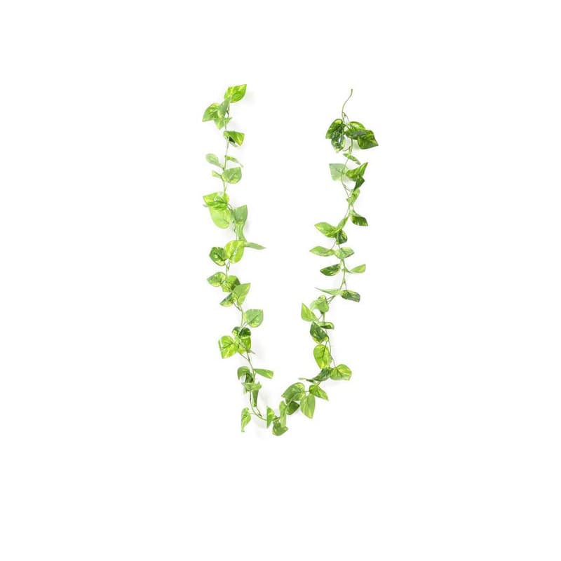 Pothos Garland