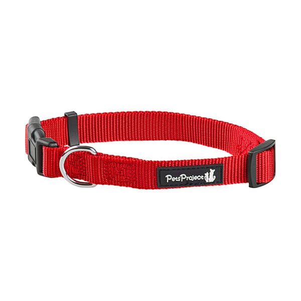 Dog Collars, Assorted Sizes and Colors