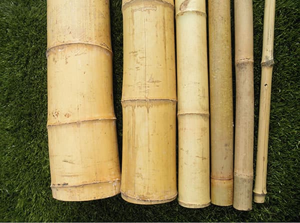Individual Bamboo Poles