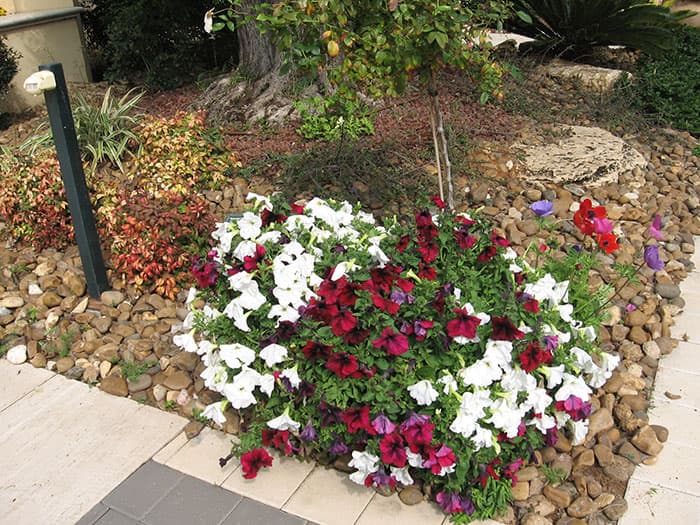 River Pebbles at the House Entrance