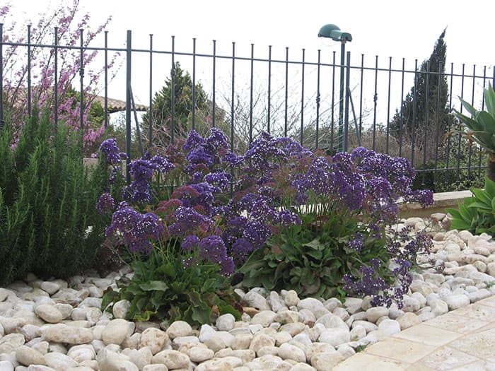 River Pebbles with Plantings