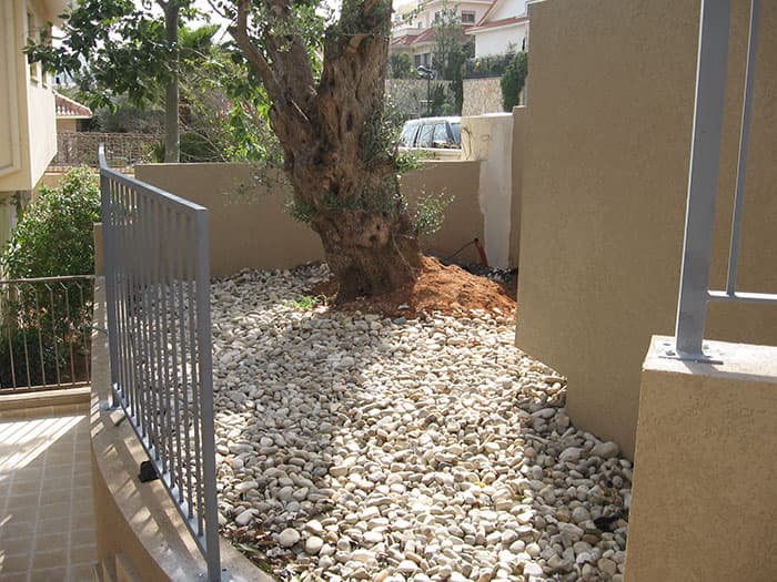 River Pebbles